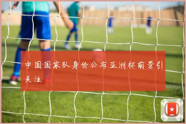中国国家队身价公布亚洲杯前景引关注