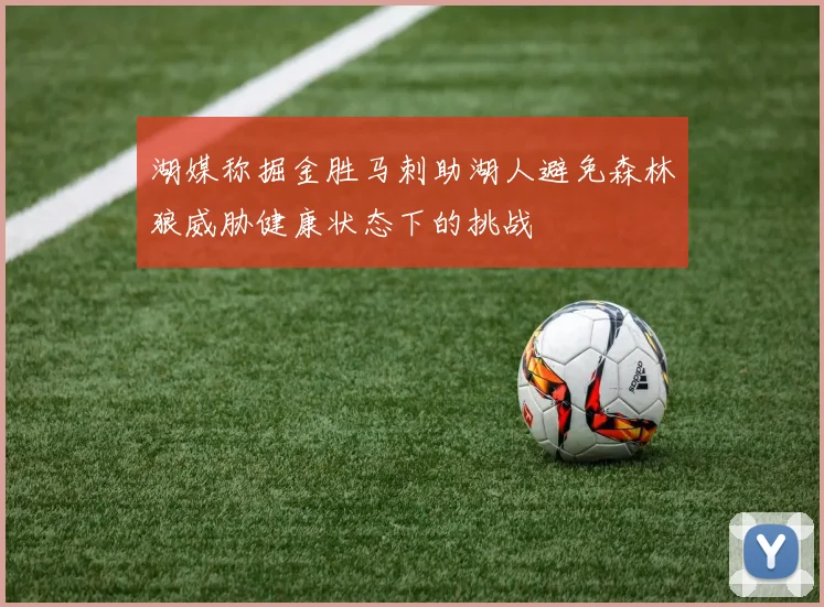 湖媒称掘金胜马刺助湖人避免森林狼威胁健康状态下的挑战